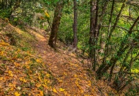 Hiking the Rogue River Trail - The best times to go