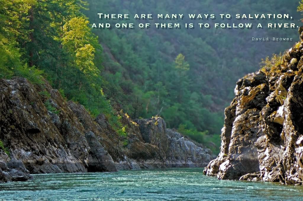 There are many ways to salvation and one of them is to follow a river: David Brower